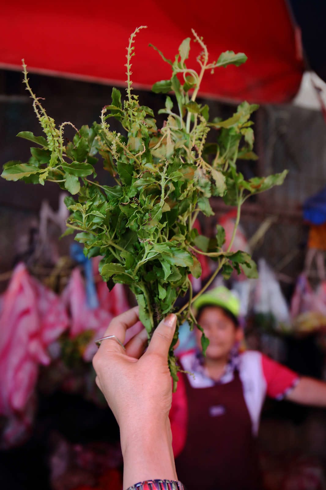 【中壢商圈好活動】魅力金三角商圈輕體驗〜特殊的雲南文化，特別的滇緬料理！忠貞市場/雲南美食/國旗屋，一生必來體驗一次的在地文化