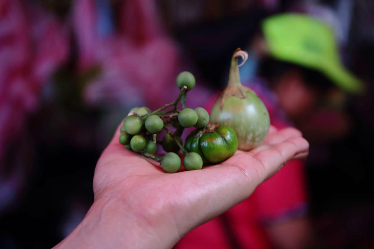 【中壢商圈好活動】魅力金三角商圈輕體驗〜特殊的雲南文化，特別的滇緬料理！忠貞市場/雲南美食/國旗屋，一生必來體驗一次的在地文化