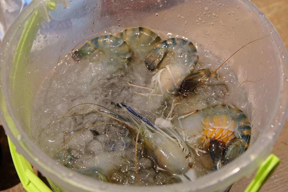 【食。桃園】泰咁蝦水道蝦〜桃園第一家超狂水道蝦吃到飽！泰國蝦、海鮮、肉品無限供應，不怕你抓完，只怕你吃不完！(已歇業)