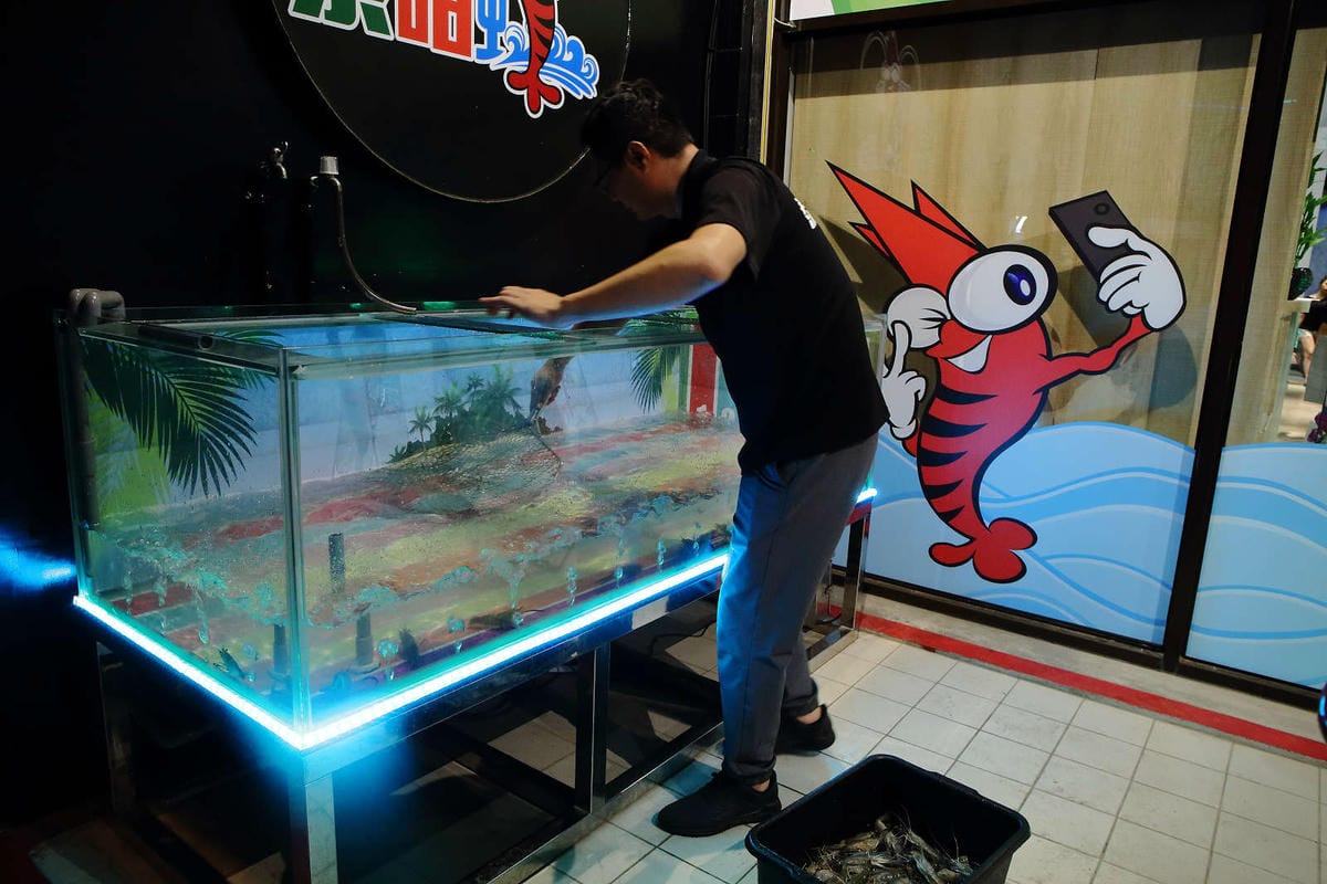 【食。桃園】泰咁蝦水道蝦〜桃園第一家超狂水道蝦吃到飽！泰國蝦、海鮮、肉品無限供應，不怕你抓完，只怕你吃不完！(已歇業)