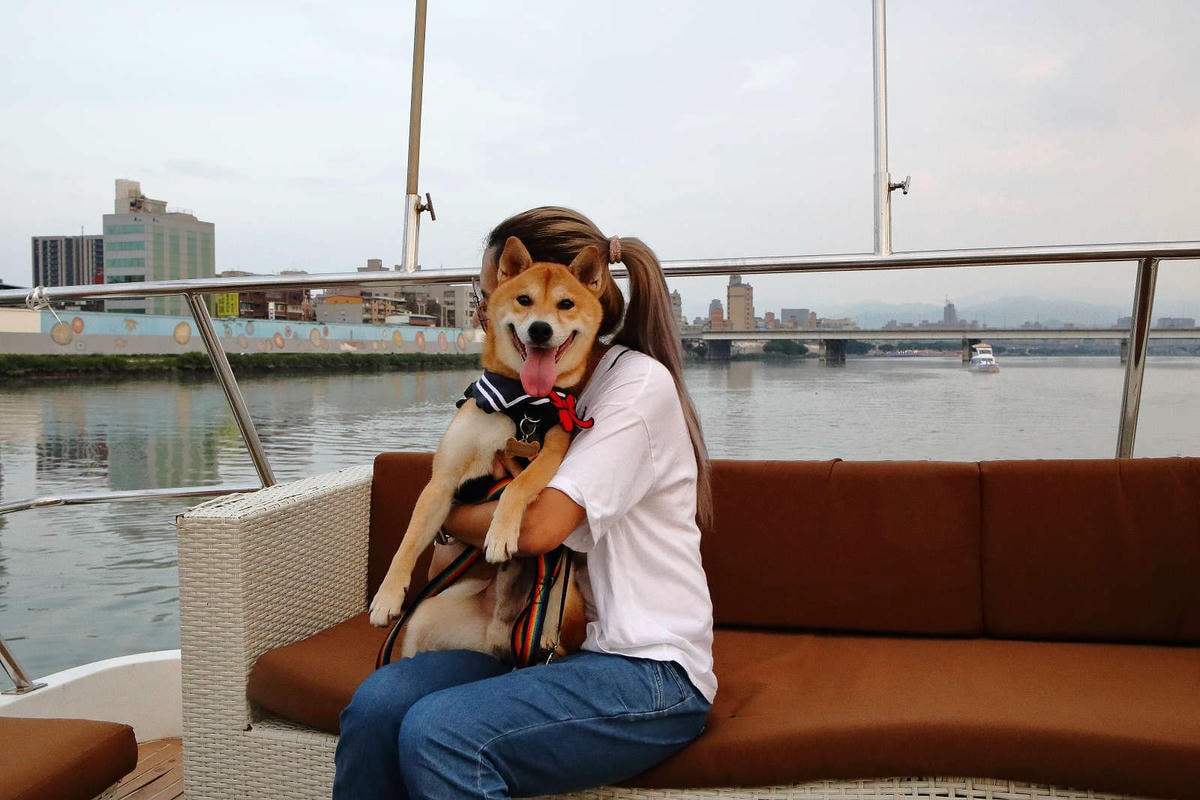 【遊。台北】BOK舶克遊艇派對〜大稻埕柴團遊艇趴,航程享受淡水河沿岸風光看夕陽、欣賞夜景、KTV歡唱,歡樂新體驗!