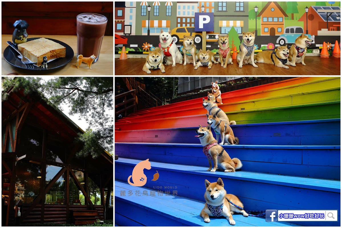 【遊。台北】BOK舶克遊艇派對〜大稻埕柴團遊艇趴,航程享受淡水河沿岸風光看夕陽、欣賞夜景、KTV歡唱,歡樂新體驗!