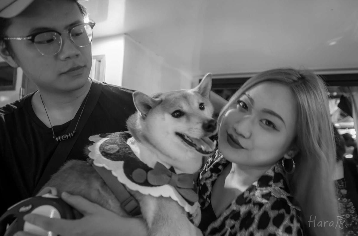 【遊。台北】BOK舶克遊艇派對〜大稻埕柴團遊艇趴,航程享受淡水河沿岸風光看夕陽、欣賞夜景、KTV歡唱,歡樂新體驗!