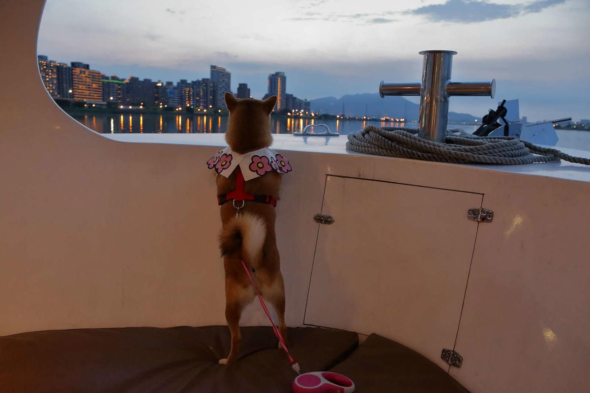 【遊。台北】BOK舶克遊艇派對〜大稻埕柴團遊艇趴,航程享受淡水河沿岸風光看夕陽、欣賞夜景、KTV歡唱,歡樂新體驗!