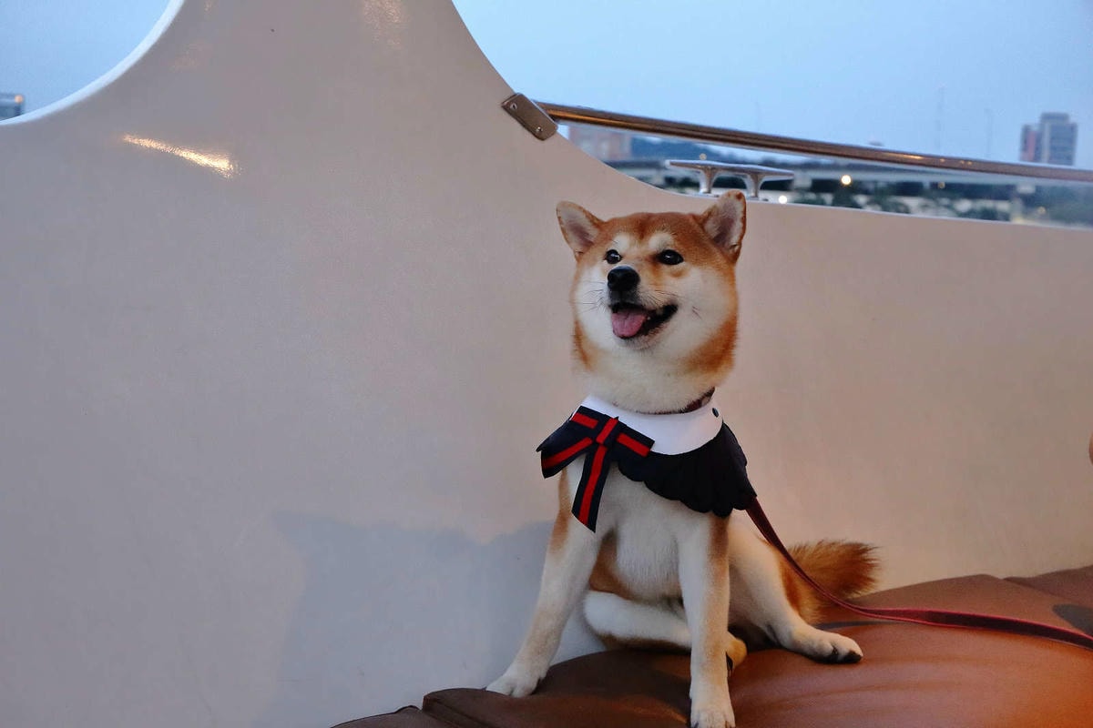 【遊。台北】BOK舶克遊艇派對〜大稻埕柴團遊艇趴,航程享受淡水河沿岸風光看夕陽、欣賞夜景、KTV歡唱,歡樂新體驗!