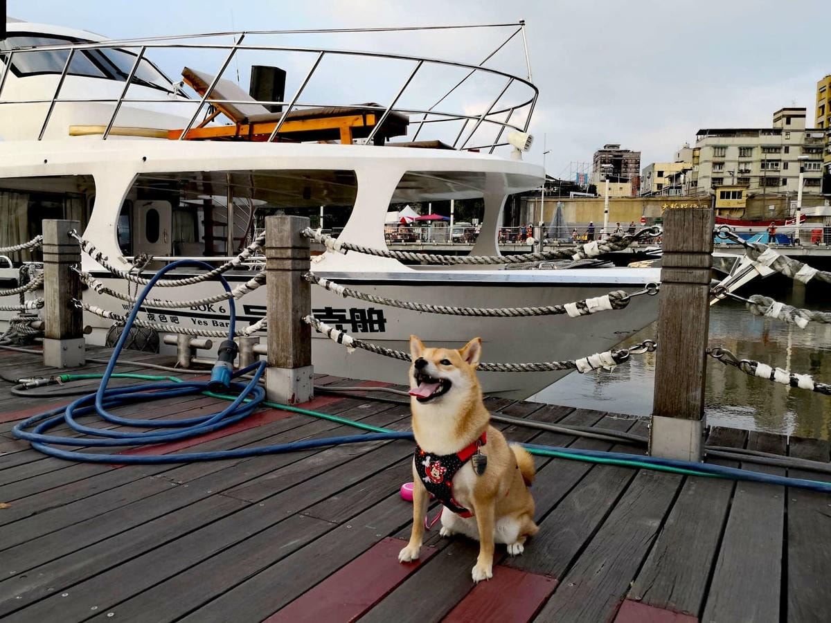 【遊。台北】BOK舶克遊艇派對〜大稻埕柴團遊艇趴,航程享受淡水河沿岸風光看夕陽、欣賞夜景、KTV歡唱,歡樂新體驗!