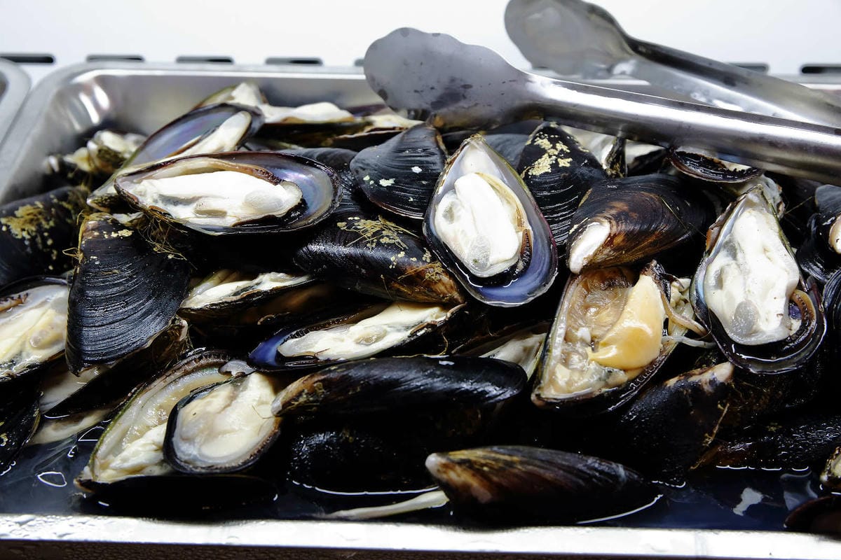 【食。八德】泰蝦樂 水道泰國蝦吃到飽〜八德吃到飽推薦！正宗泰國水道蝦新開幕！泰國蝦現夾現烤+熱炒沙拉吧讓你吃的不要不要的