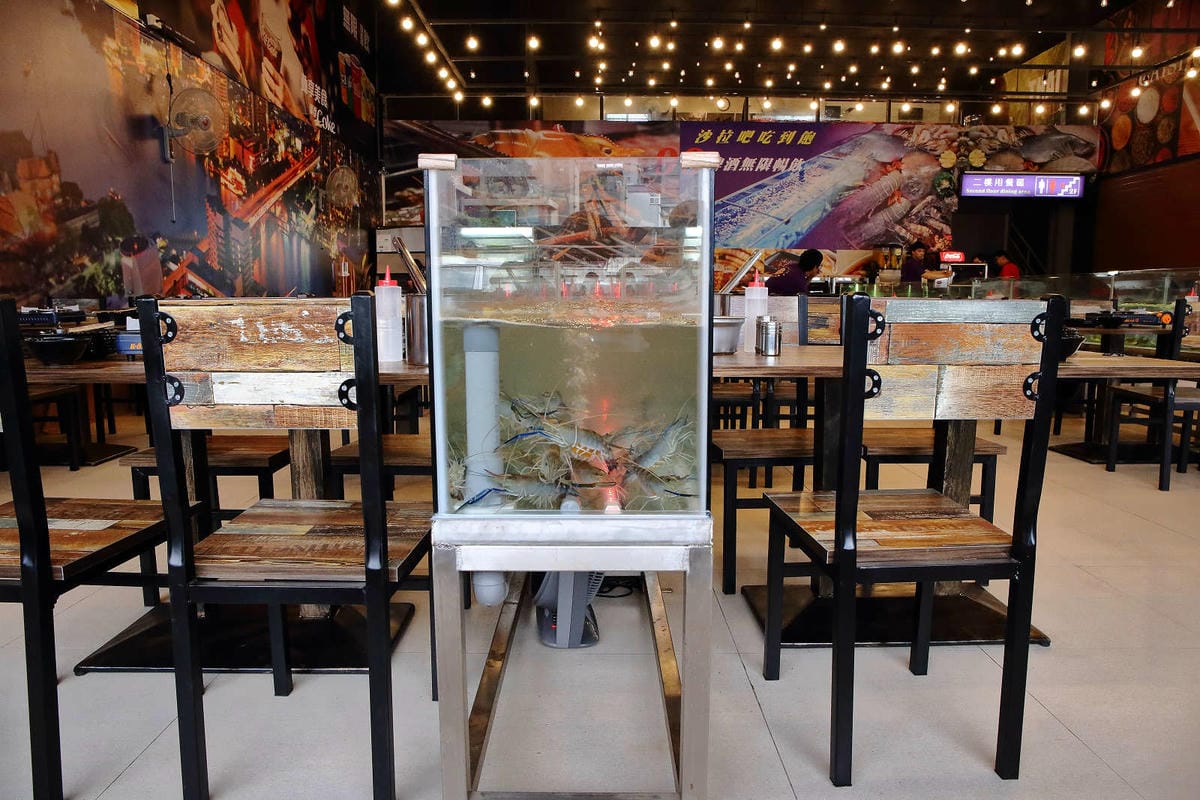 【食。八德】泰蝦樂 水道泰國蝦吃到飽〜八德吃到飽推薦！正宗泰國水道蝦新開幕！泰國蝦現夾現烤+熱炒沙拉吧讓你吃的不要不要的