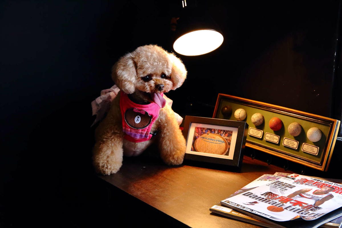 【食。八德】八塊画室〜偶像劇追劇景點！老診所改造文青咖啡廳，保證好拍的IG景點＋美食