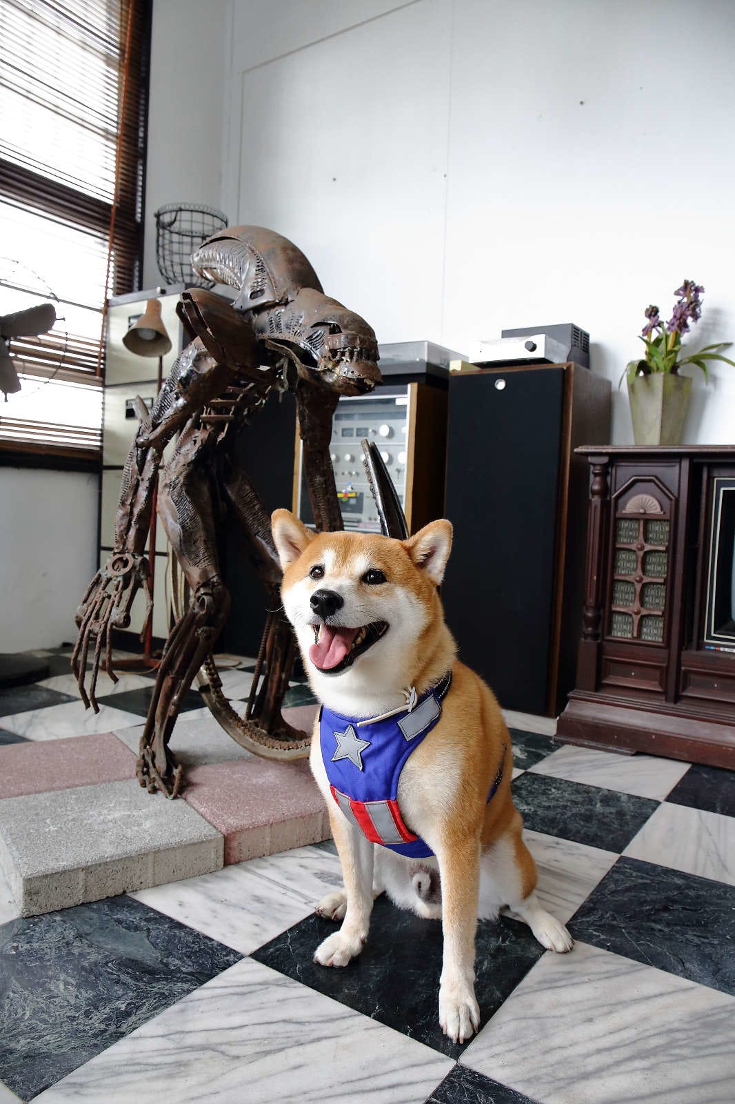 【食。八德】八塊画室〜偶像劇追劇景點！老診所改造文青咖啡廳，保證好拍的IG景點＋美食