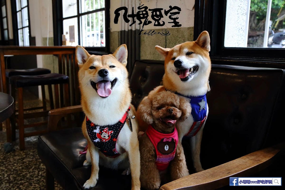 【食。八德】八塊画室〜偶像劇追劇景點！老診所改造文青咖啡廳，保證好拍的IG景點＋美食