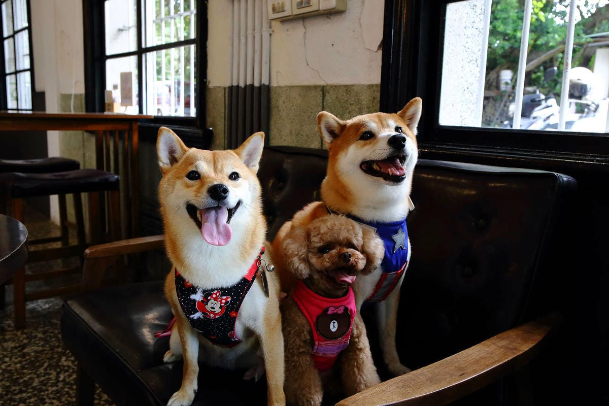 【食。八德】八塊画室〜偶像劇追劇景點！老診所改造文青咖啡廳，保證好拍的IG景點＋美食