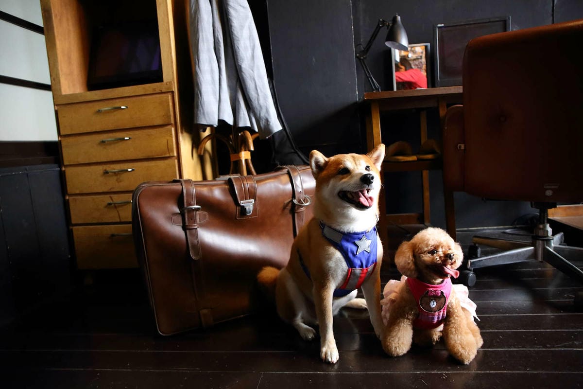 【食。八德】八塊画室〜偶像劇追劇景點！老診所改造文青咖啡廳，保證好拍的IG景點＋美食