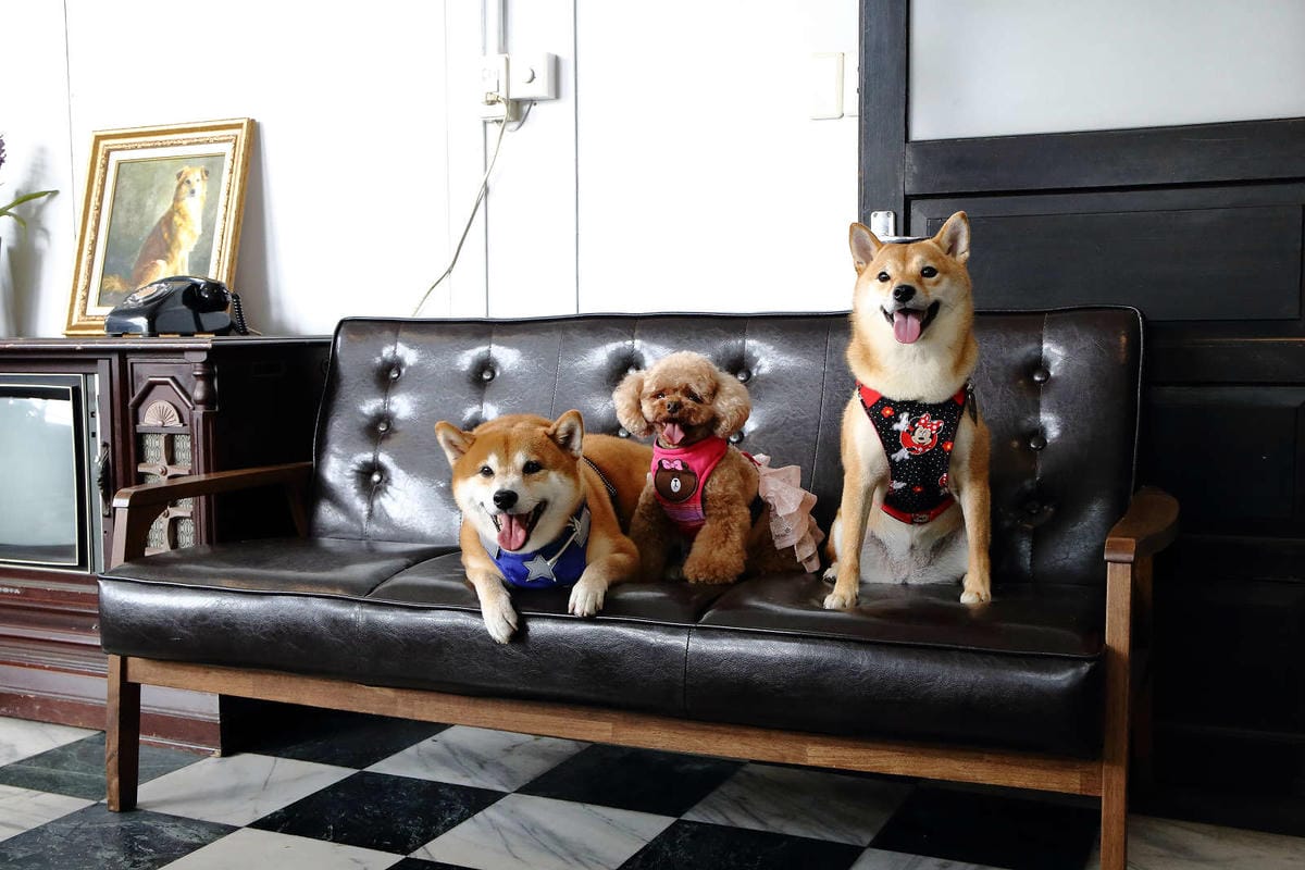 【食。八德】八塊画室〜偶像劇追劇景點！老診所改造文青咖啡廳，保證好拍的IG景點＋美食