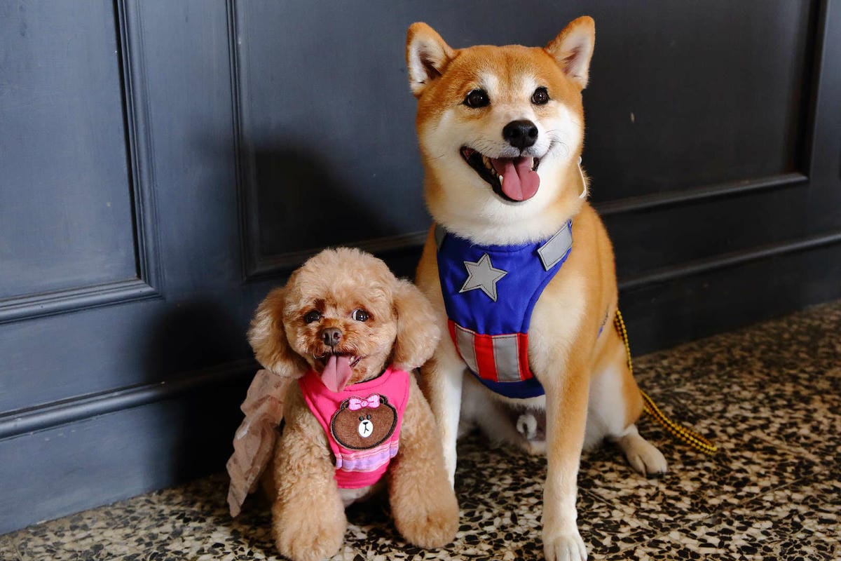 【食。八德】八塊画室〜偶像劇追劇景點！老診所改造文青咖啡廳，保證好拍的IG景點＋美食