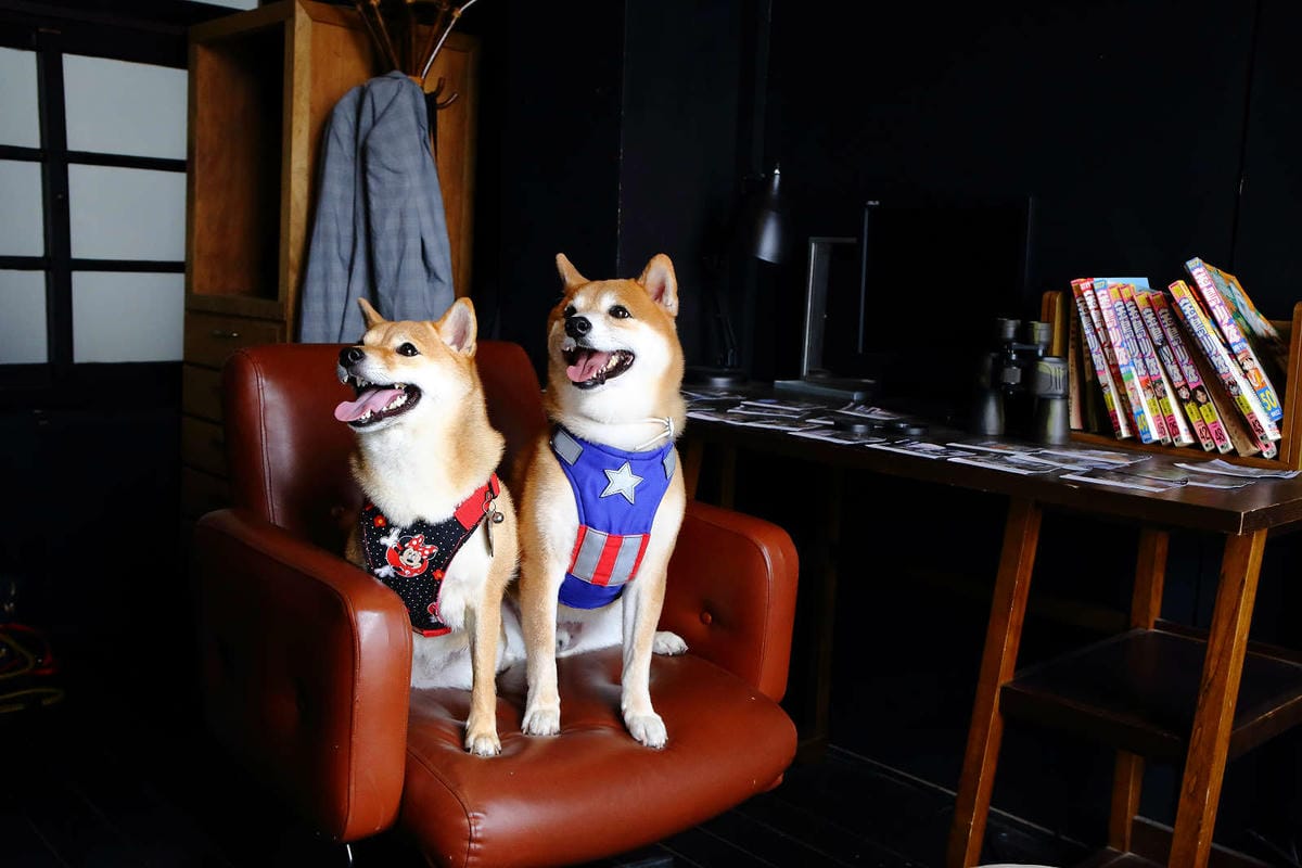 【食。八德】八塊画室〜偶像劇追劇景點！老診所改造文青咖啡廳，保證好拍的IG景點＋美食