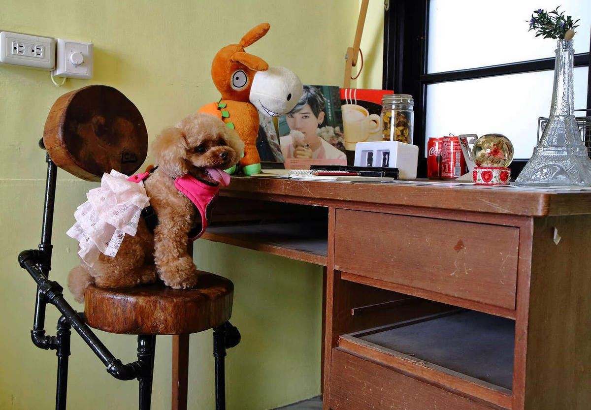 【食。八德】八塊画室〜偶像劇追劇景點！老診所改造文青咖啡廳，保證好拍的IG景點＋美食