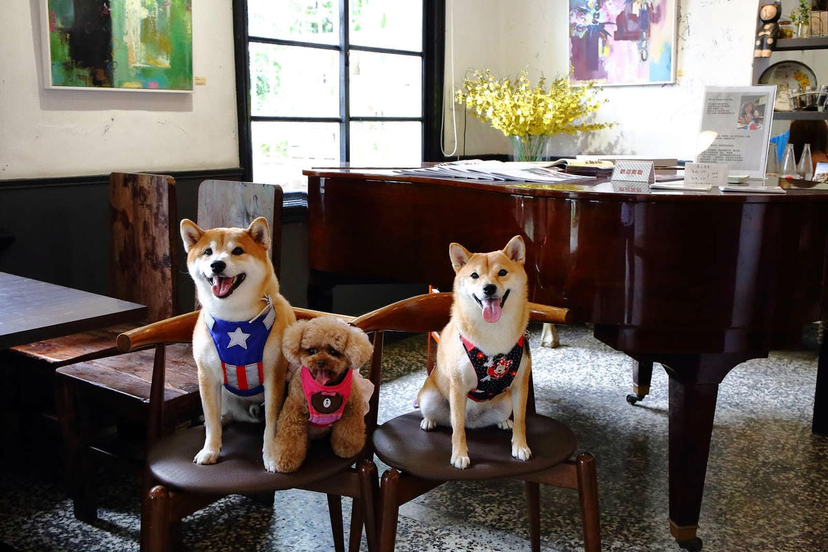 【食。八德】八塊画室〜偶像劇追劇景點！老診所改造文青咖啡廳，保證好拍的IG景點＋美食