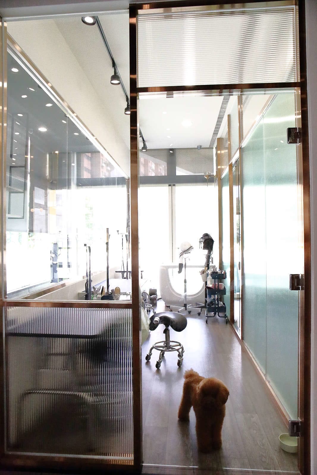 【宿。台中】沃夫寵物旅館〜全台最大七星級寵物旅館！專屬毛小孩