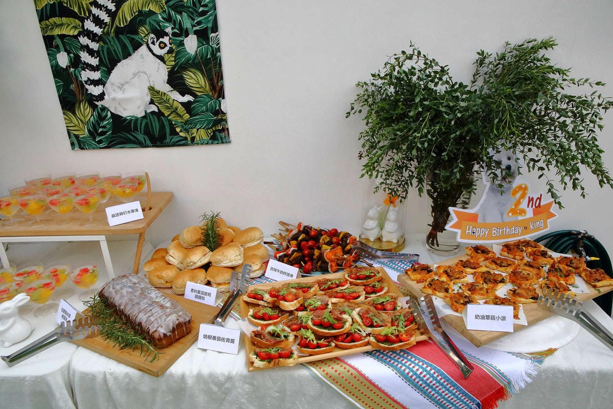 【宿。台中】沃夫寵物旅館〜全台最大七星級寵物旅館！專屬毛小孩