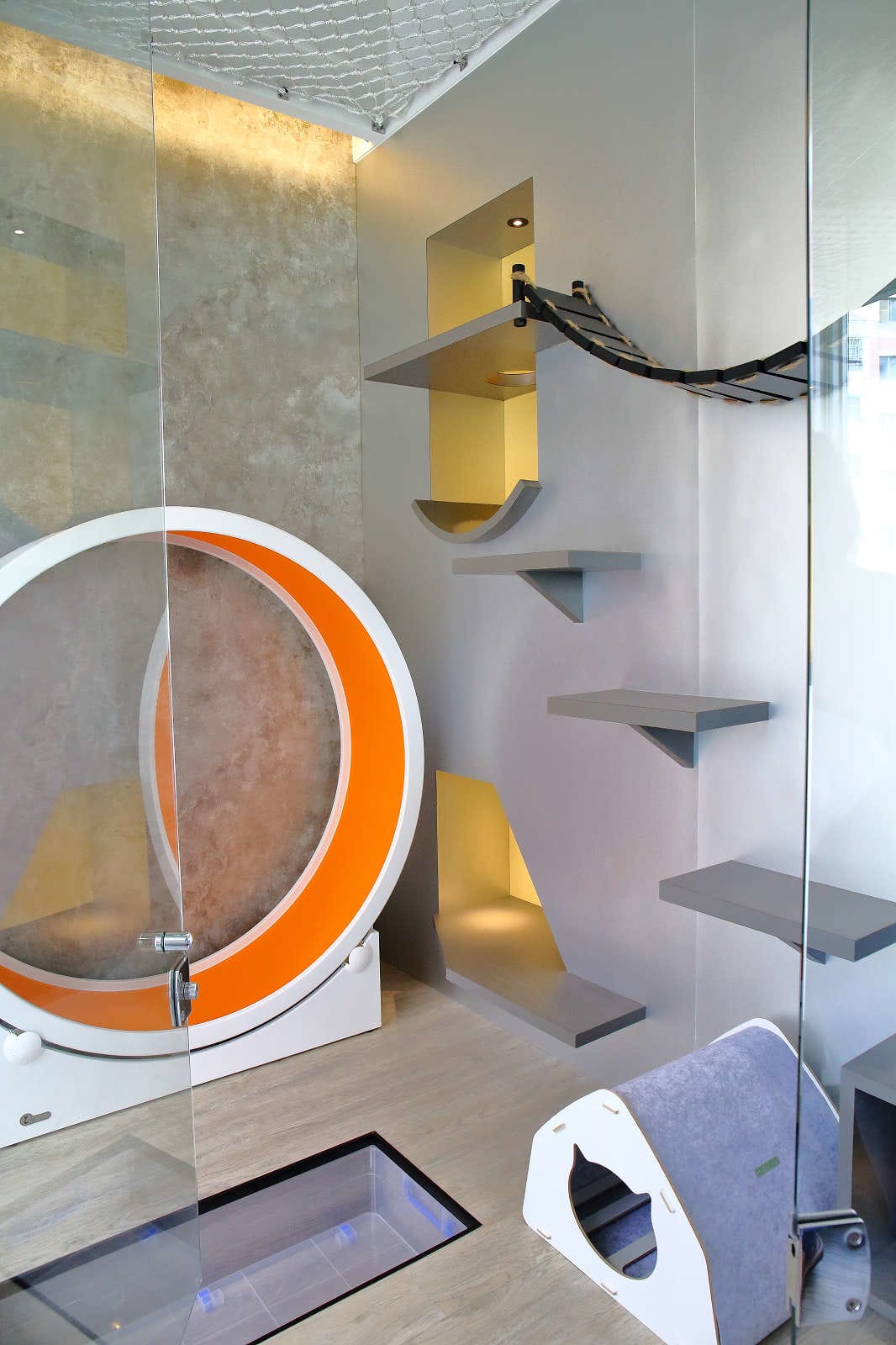 【宿。台中】沃夫寵物旅館〜全台最大七星級寵物旅館！專屬毛小孩