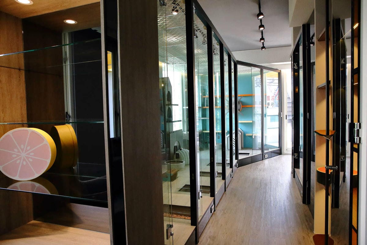 【宿。台中】沃夫寵物旅館〜全台最大七星級寵物旅館！專屬毛小孩