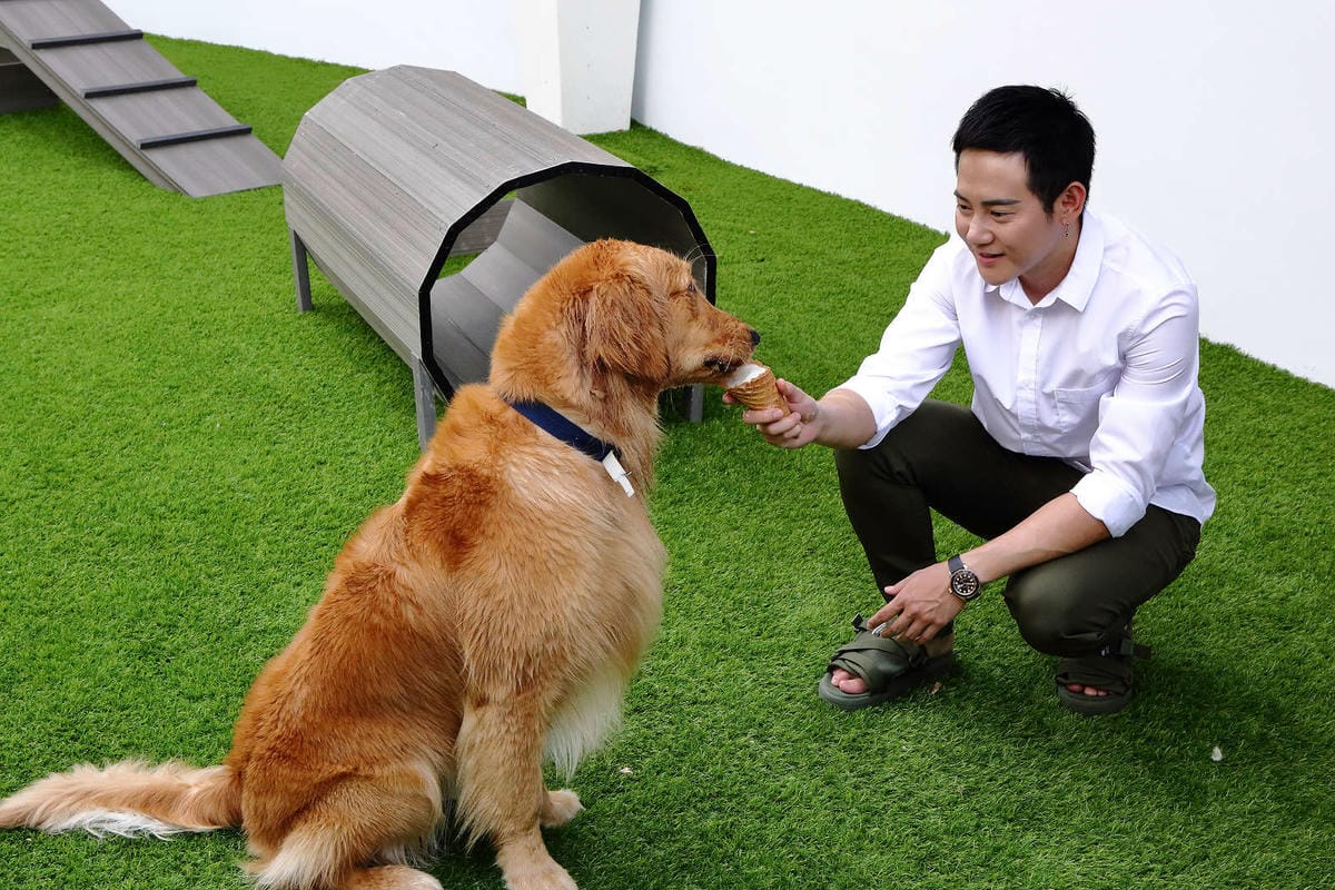 【宿。台中】沃夫寵物旅館〜全台最大七星級寵物旅館！專屬毛小孩