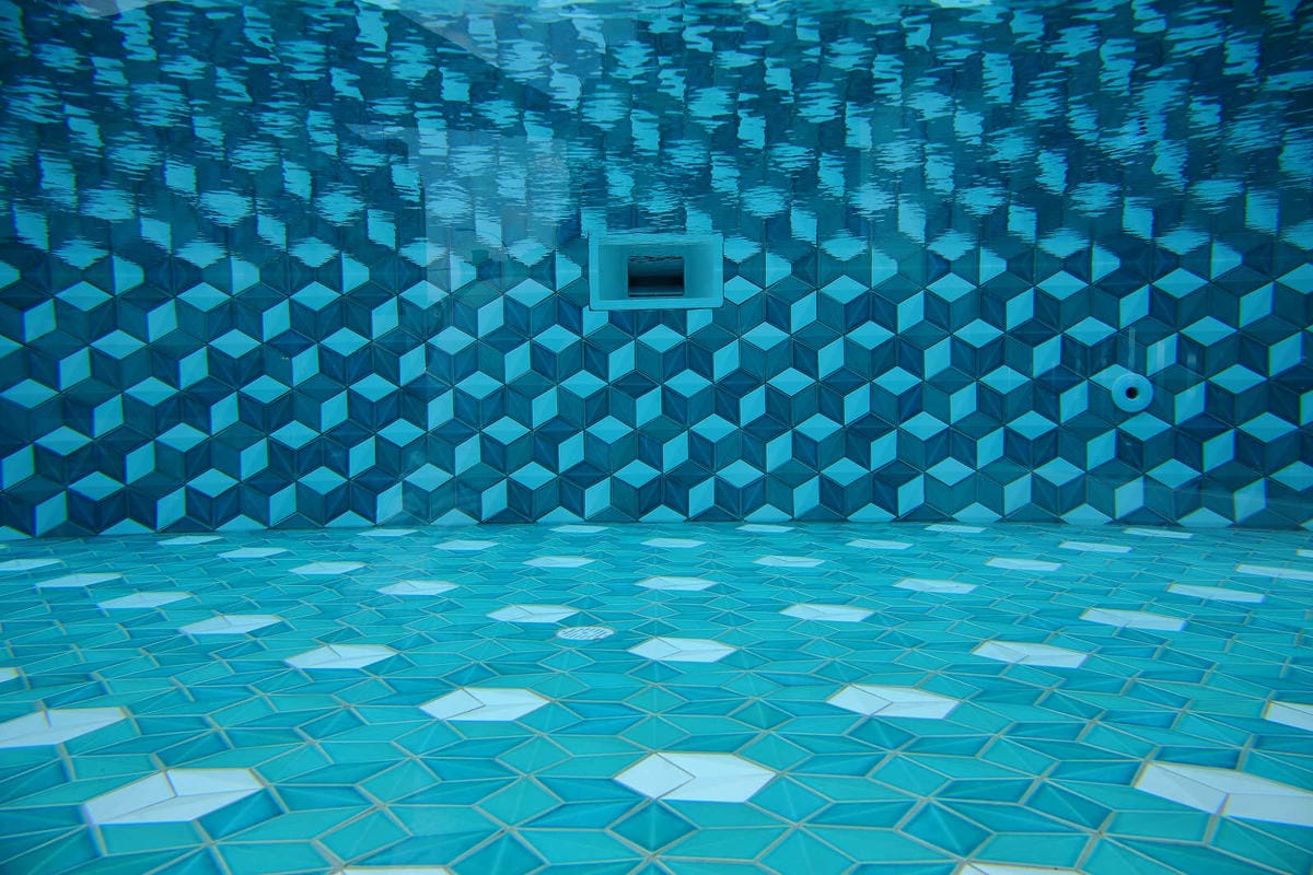 【宿。台中】沃夫寵物旅館〜全台最大七星級寵物旅館！專屬毛小孩