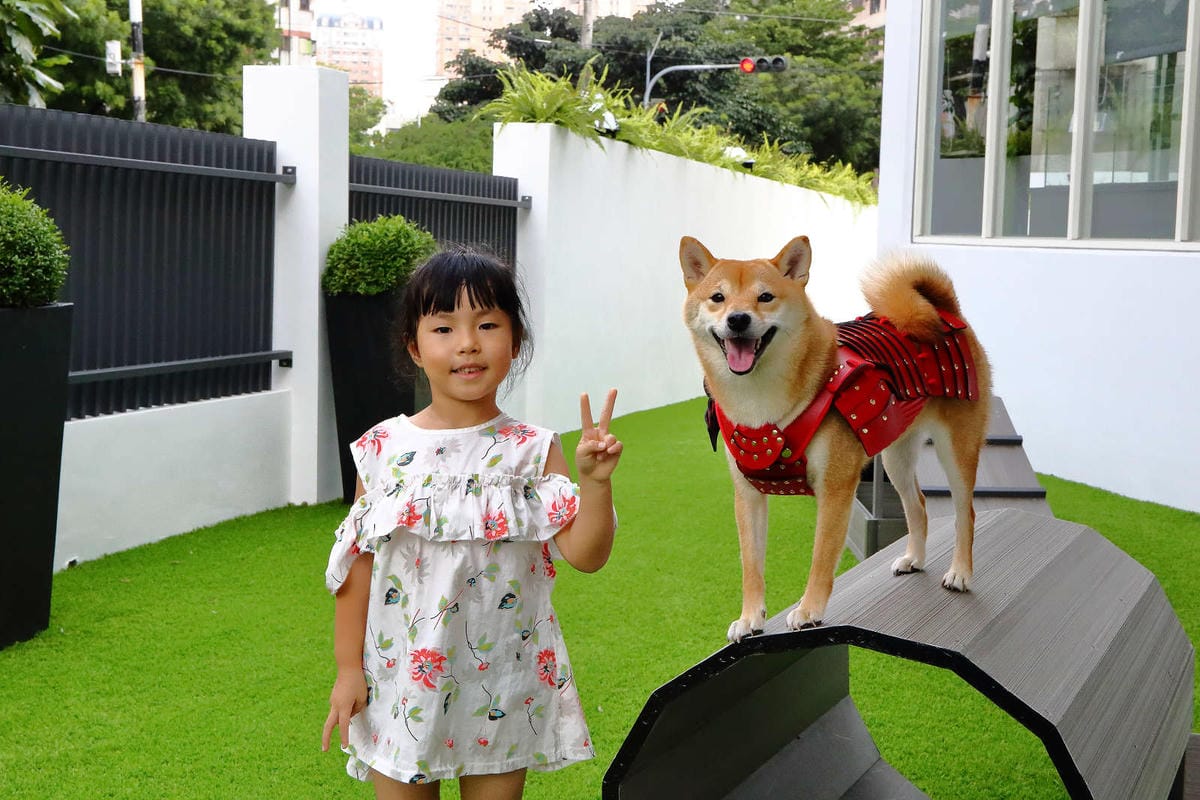 【宿。台中】沃夫寵物旅館〜全台最大七星級寵物旅館！專屬毛小孩