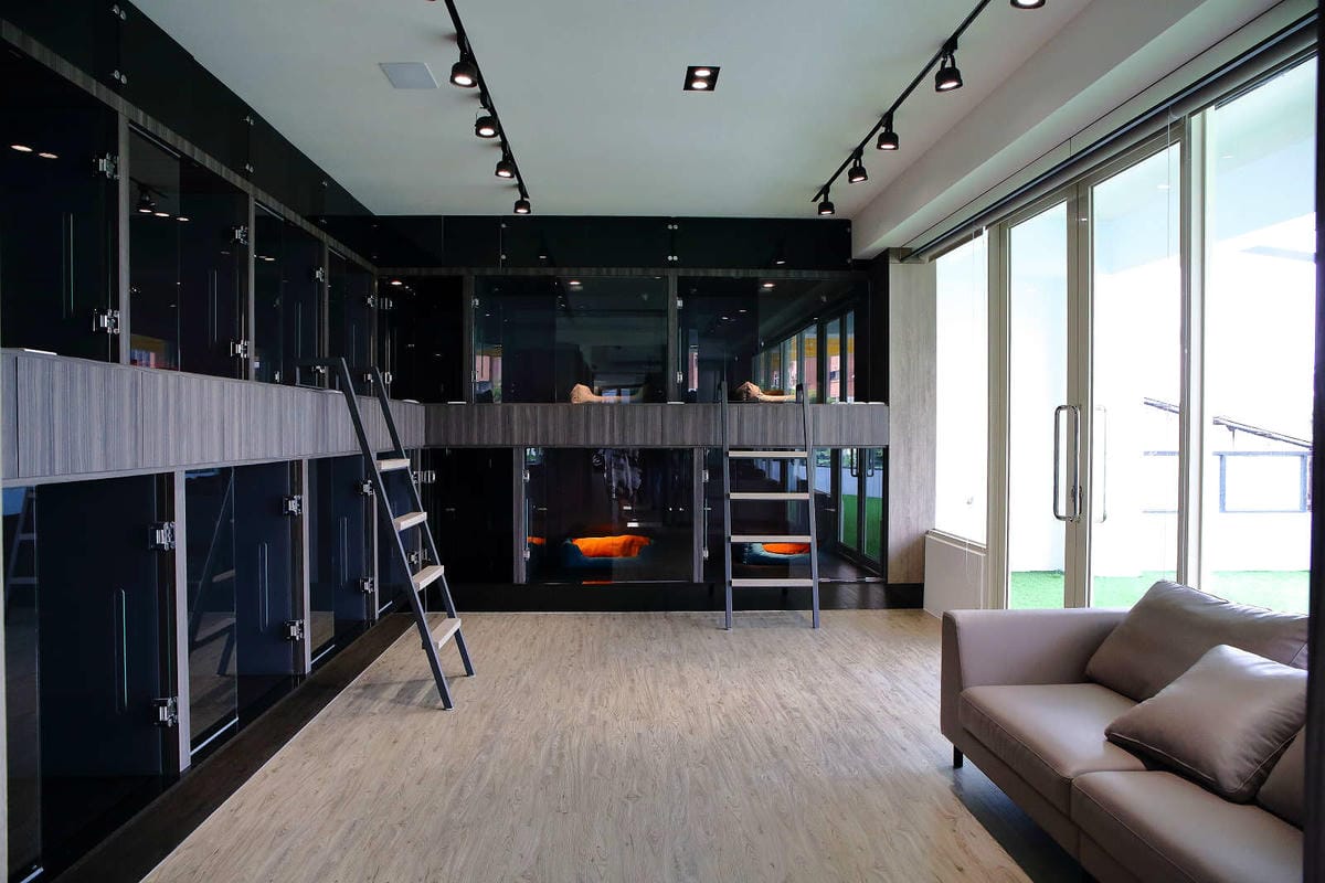 【宿。台中】沃夫寵物旅館〜全台最大七星級寵物旅館！專屬毛小孩