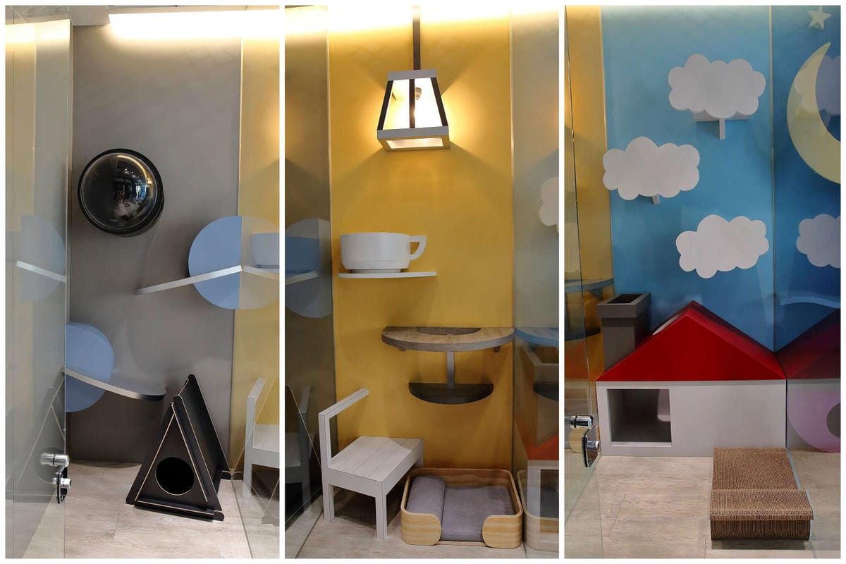 【宿。台中】沃夫寵物旅館〜全台最大七星級寵物旅館！專屬毛小孩