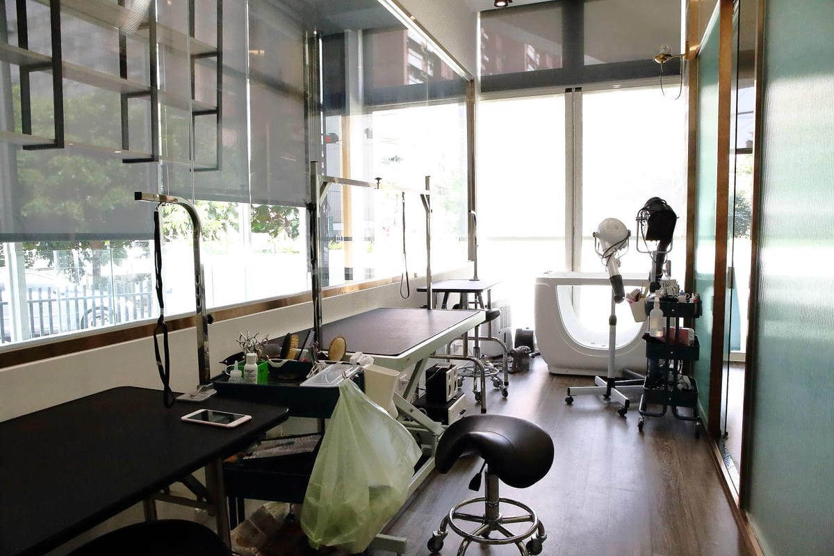 【宿。台中】沃夫寵物旅館〜全台最大七星級寵物旅館！專屬毛小孩