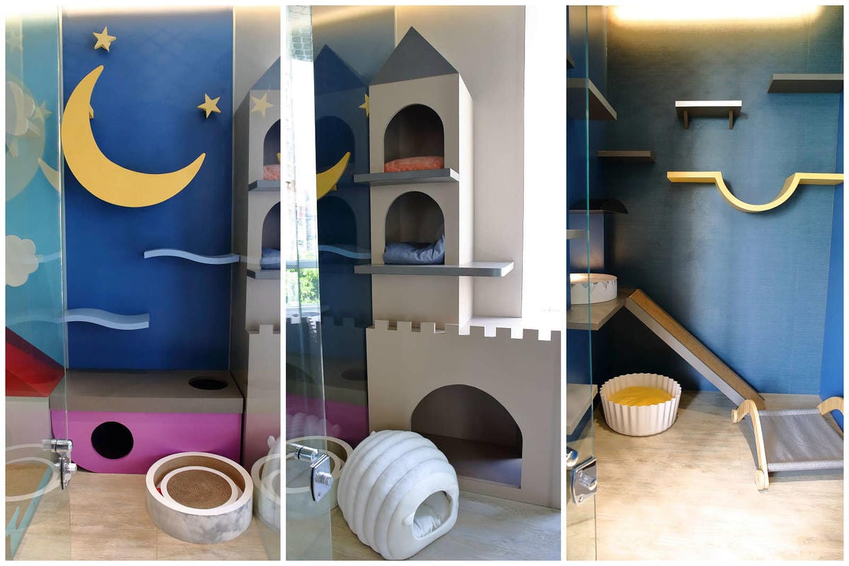 【宿。台中】沃夫寵物旅館〜全台最大七星級寵物旅館！專屬毛小孩