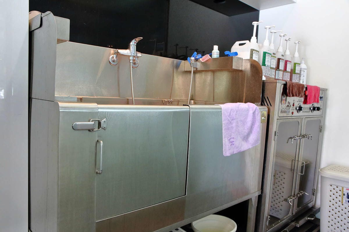 【宿。台中】沃夫寵物旅館〜全台最大七星級寵物旅館！專屬毛小孩