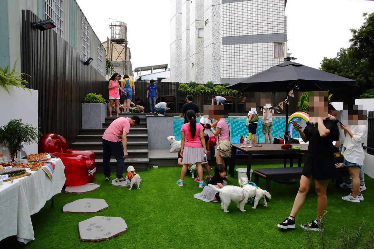 【宿。台中】沃夫寵物旅館〜全台最大七星級寵物旅館！專屬毛小孩