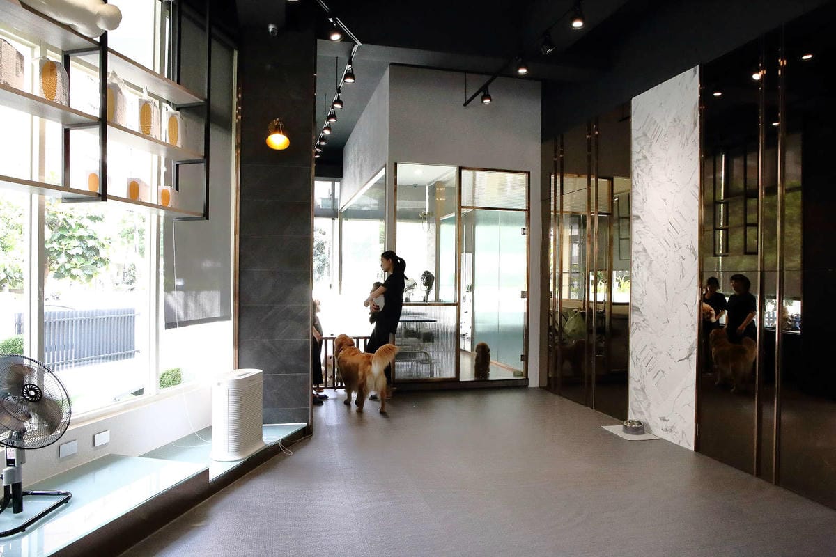 【宿。台中】沃夫寵物旅館〜全台最大七星級寵物旅館！專屬毛小孩