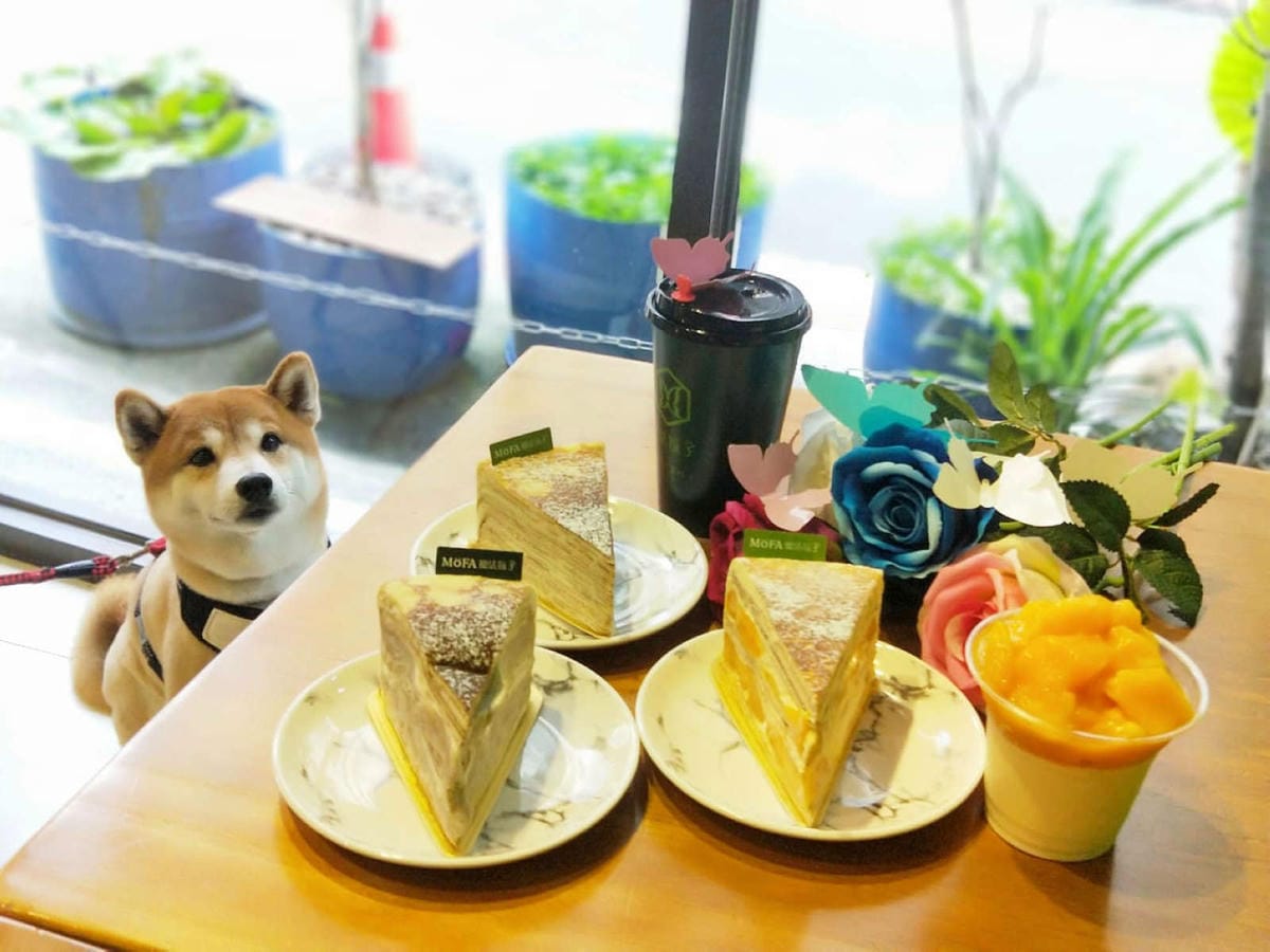 【食。中壢】MOFA 魔法氛子〜會爆漿的千層蛋糕，一刀劃下滿滿芋泥餡湧出，伴手禮、團購高CP值甜點！