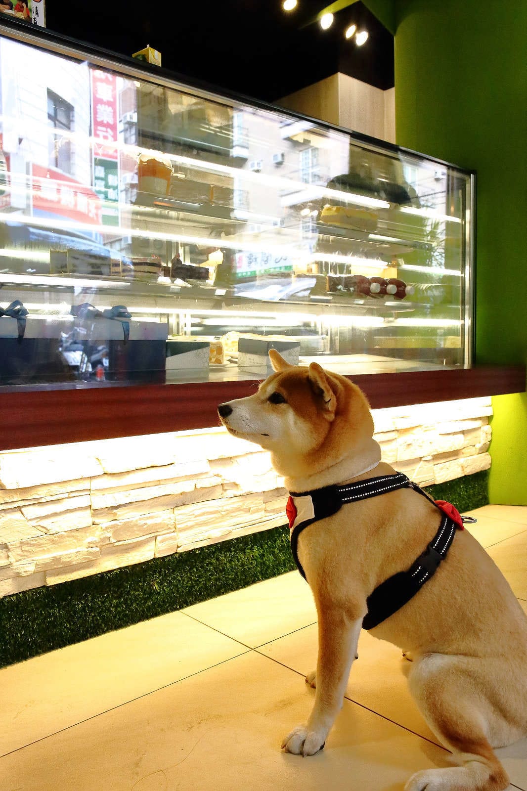 【食。中壢】MOFA 魔法氛子〜會爆漿的千層蛋糕，一刀劃下滿滿芋泥餡湧出，伴手禮、團購高CP值甜點！