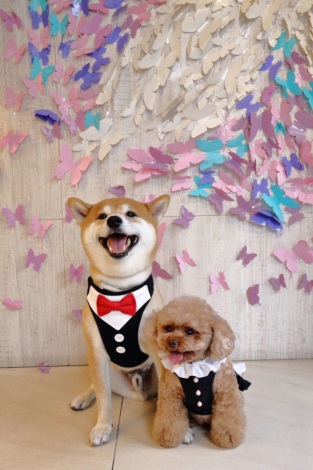 【食。中壢】MOFA 魔法氛子〜會爆漿的千層蛋糕，一刀劃下滿滿芋泥餡湧出，伴手禮、團購高CP值甜點！