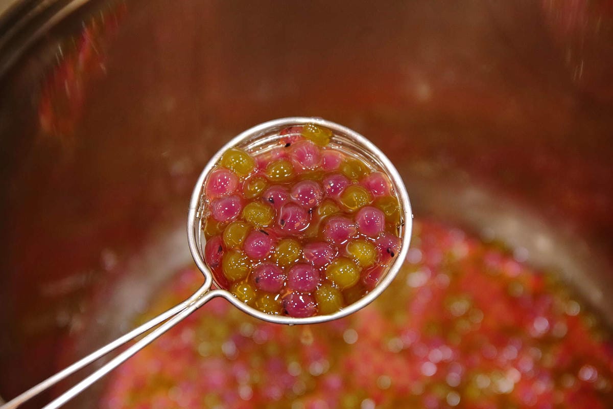 【食。台北】貓頭鷹茶森林-台北安居店〜100%台灣茶，現點現泡，茶飲的新視界！不苦澀、更回甘！