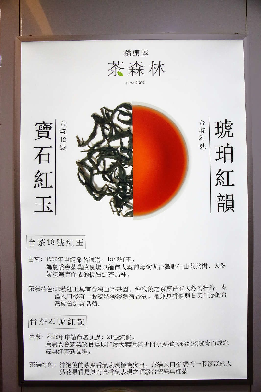 【食。台北】貓頭鷹茶森林-台北安居店〜100%台灣茶，現點現泡，茶飲的新視界！不苦澀、更回甘！