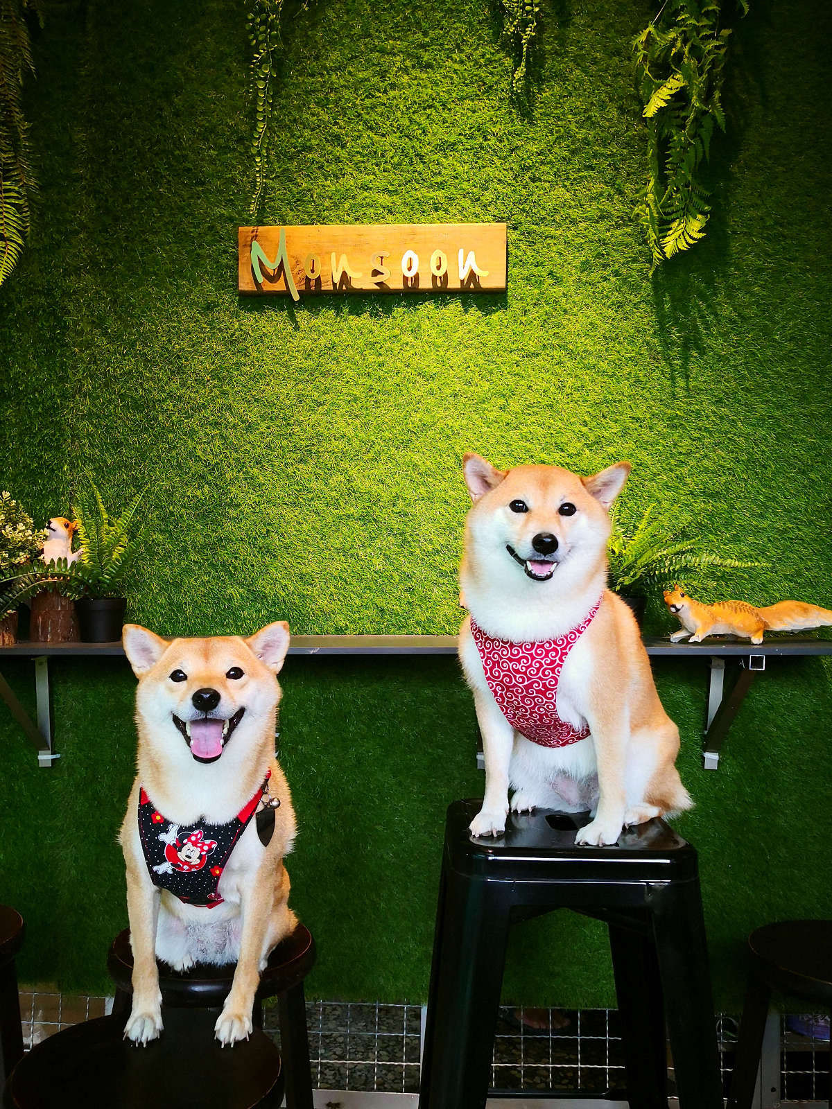 【食。大園】老。樣子〜老屋裡的美味刨冰,日式刨冰x手工甜點x限量餐點,日式文青風,IG打卡熱門景點網紅必訪!