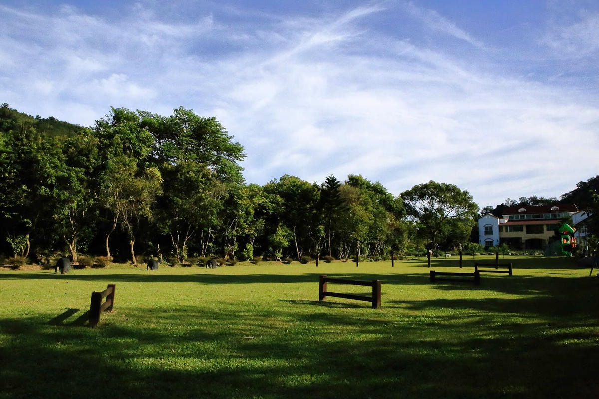【宿。苗栗】南庄 麥克尼景觀莊園〜帶著毛小孩去旅行,這個夏天衝一波吧!大草皮、寵物游泳池、寵物餐,超棒的泳池寵物友善民宿推薦!