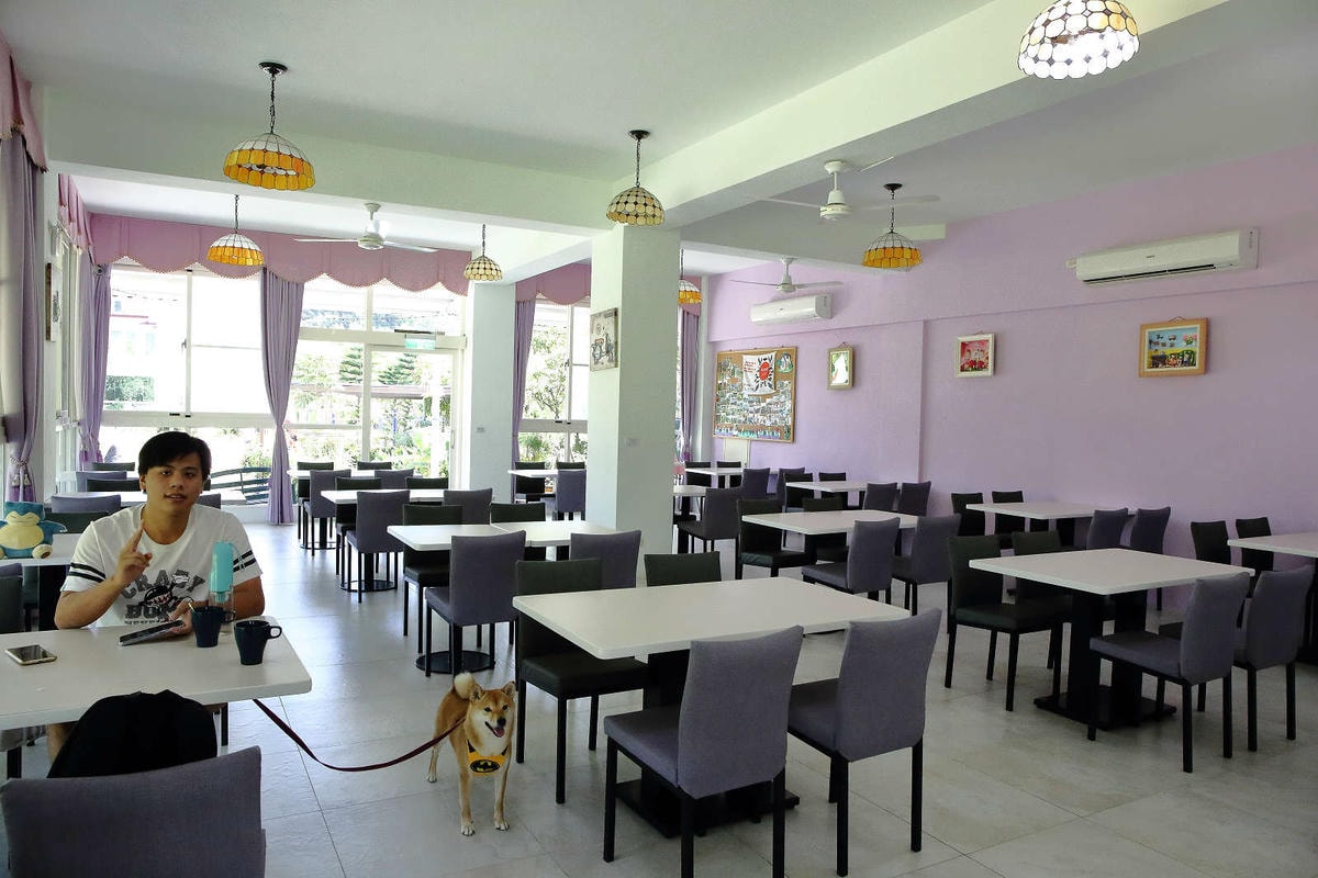 【宿。苗栗】南庄 麥克尼景觀莊園〜帶著毛小孩去旅行,這個夏天衝一波吧!大草皮、寵物游泳池、寵物餐,超棒的泳池寵物友善民宿推薦!