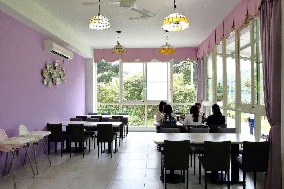 【宿。苗栗】南庄 麥克尼景觀莊園〜帶著毛小孩去旅行,這個夏天衝一波吧!大草皮、寵物游泳池、寵物餐,超棒的泳池寵物友善民宿推薦!