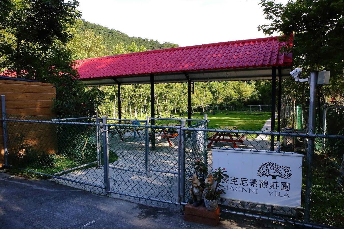 【宿。苗栗】南庄 麥克尼景觀莊園〜帶著毛小孩去旅行,這個夏天衝一波吧!大草皮、寵物游泳池、寵物餐,超棒的泳池寵物友善民宿推薦!