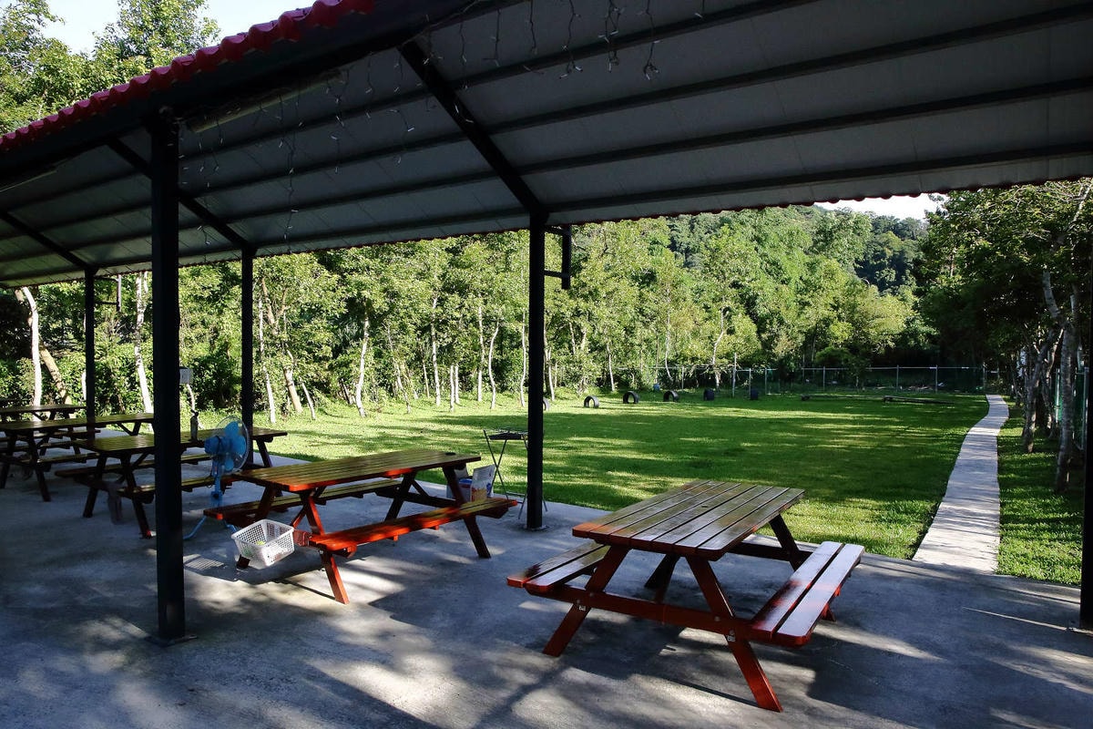 【宿。苗栗】南庄 麥克尼景觀莊園〜帶著毛小孩去旅行,這個夏天衝一波吧!大草皮、寵物游泳池、寵物餐,超棒的泳池寵物友善民宿推薦!
