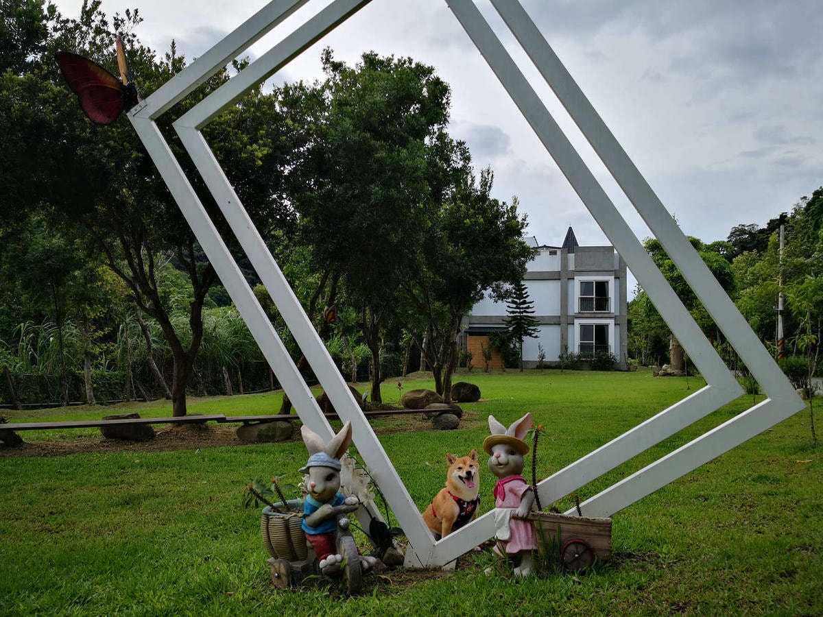 【宿。苗栗】南庄 麥克尼景觀莊園〜帶著毛小孩去旅行,這個夏天衝一波吧!大草皮、寵物游泳池、寵物餐,超棒的泳池寵物友善民宿推薦!