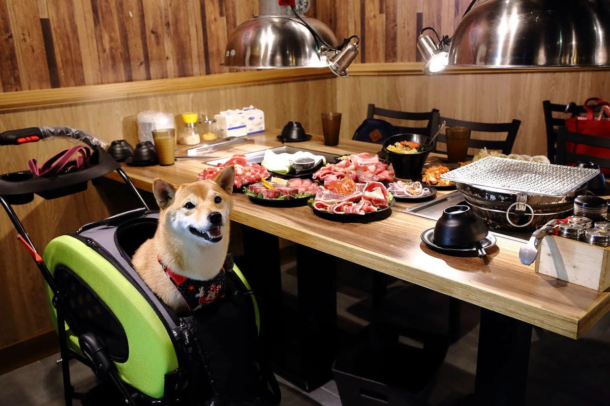 【食。基隆】月桂炭火燒肉〜基隆燒肉吃到飽推薦，安格斯牛、天使紅蝦、Häagen-Dazs吃到飽只要$536起，有正妹的桌邊服務唷