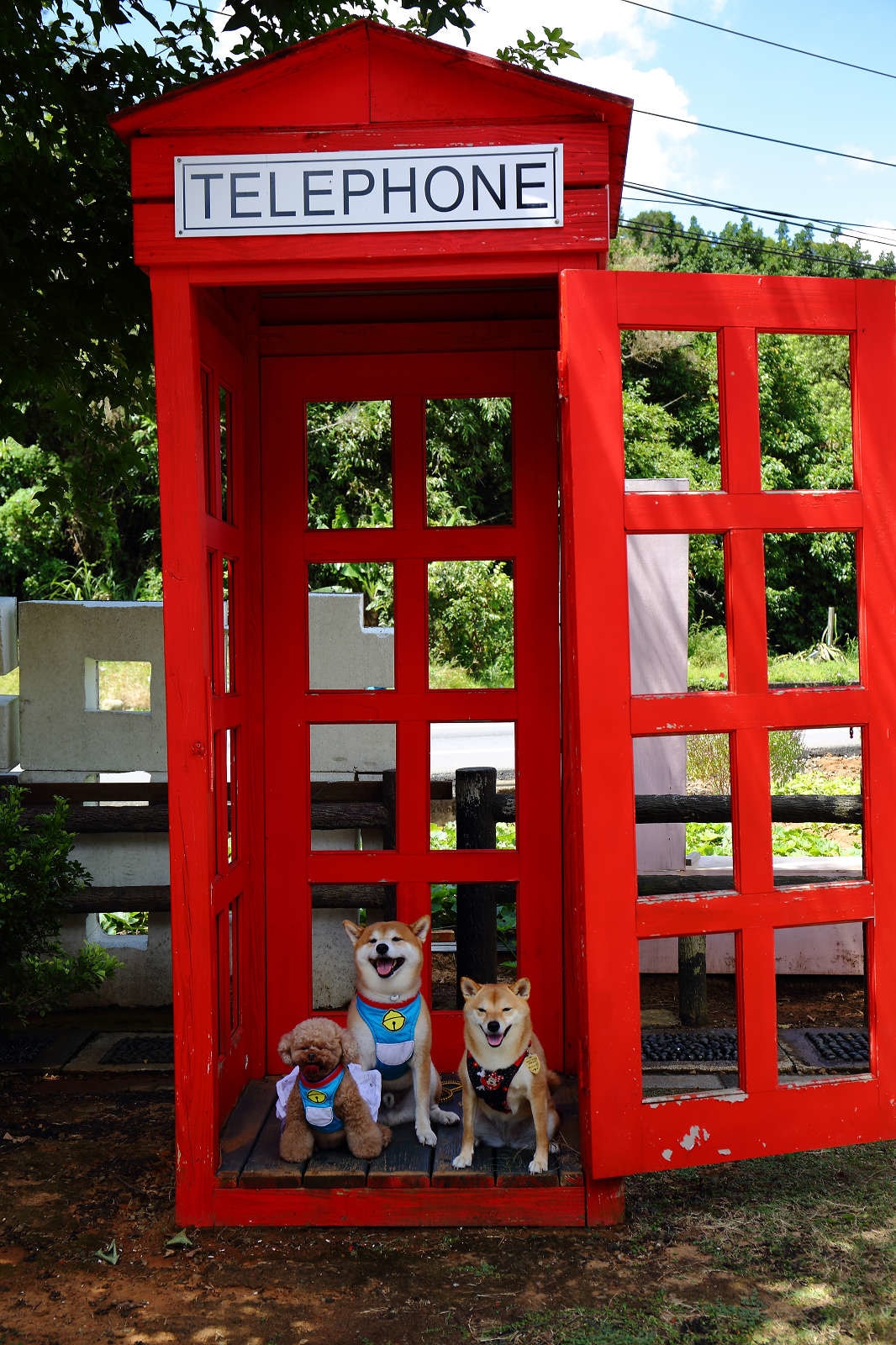 【遊。桃園】蘆竹坑子溪休閒農業區(坑子土角厝)〜假日遛毛小孩必看!免費參觀,好玩好拍桃園IG打卡景點就醬玩!